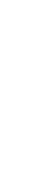 特選車ラインナップ